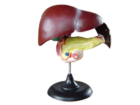 SD-093 33216ʮ֬cKģ